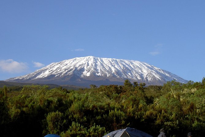 13 Days Adventure in Tanzania - Trekking and Wildlife Safari - Positive Reviews and Ratings