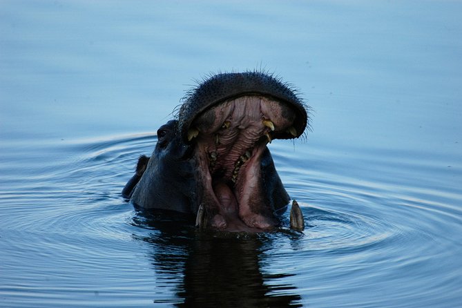 13 Days Best Of Zimbabwe - Cultural Immersion in Zimbabwe