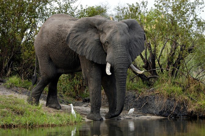13 Days Best Of Zimbabwe - Transportation and Logistics