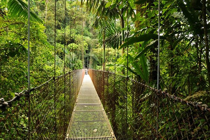 13 Days Essential Costa Rica With Extension to Manuel Antonio Beach & San Jose - Accommodations and Inclusions