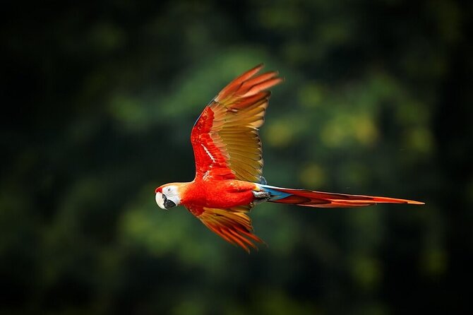 13 Days Exploring Ecuador Highlands and Rainforest - Key Points