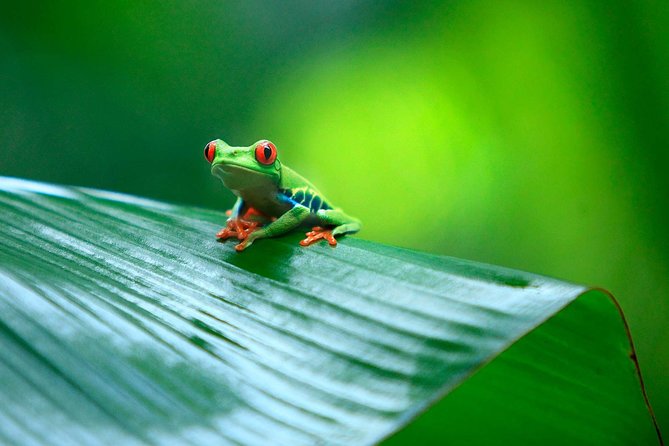 13 Days - Fly & Drive - Touring Costa Rica - Key Points