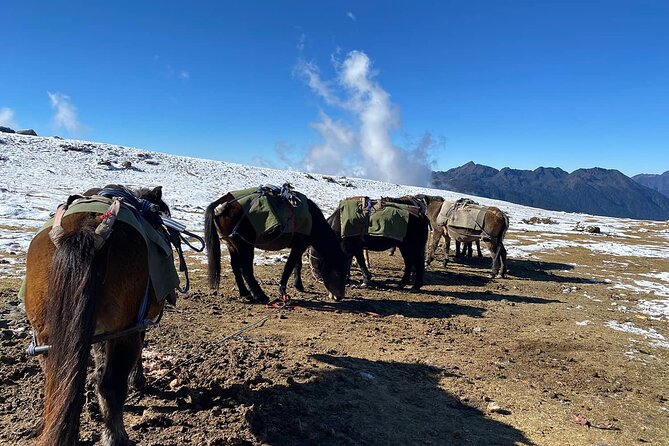 13 Days Jomolhari Trek From Paro to Thimphu via Lingzhi - Itinerary Highlights