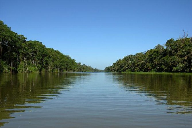 13 Days: Jungle and Beach in Costa Rica - Monteverde Cloud Forest Discovery