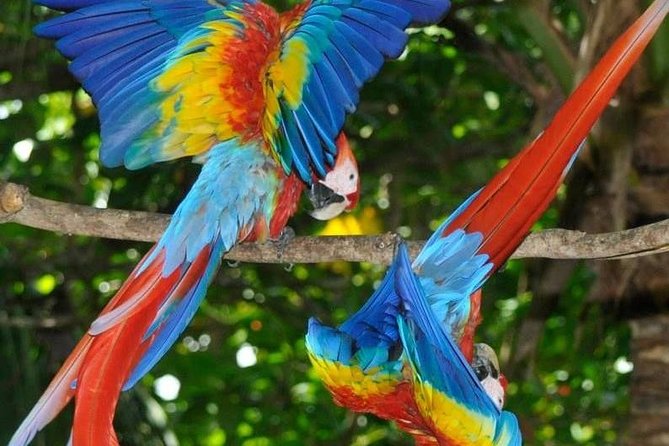 13 Days: Jungle and Beach in Costa Rica - Manuel Antonio Beach Escape