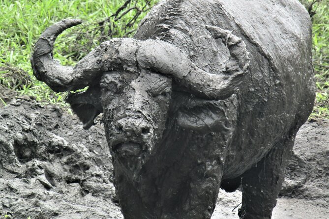 13 Days Private Tour to Discover Ugandas Best Safari - Destinations