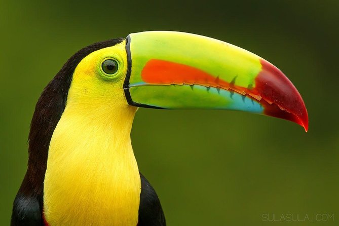 13 Days Program - Best Spots of Costa Rica - Tortuguero National Park