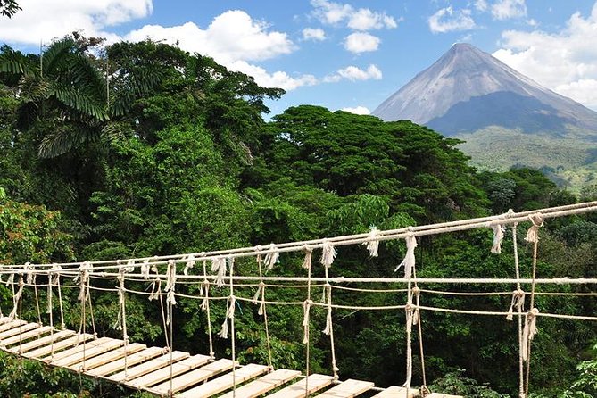 13 Days Program - Best Spots of Costa Rica - Monteverde Cloud Forest