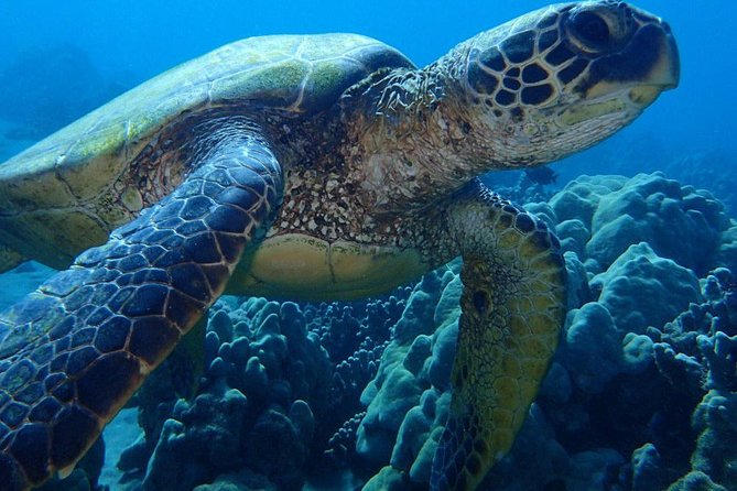13 Days Program - Best Spots of Costa Rica - Manuel Antonio National Park