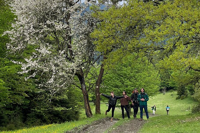 13 Km Hike in Borjomi - Group Tour From Kutaisi - Booking Information