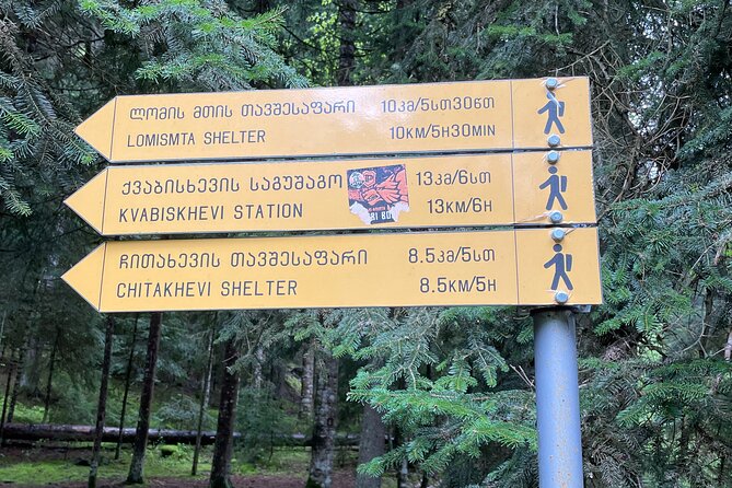13 Km Hike in Borjomi - Group Tour From Tbilisi - Inclusions and Services
