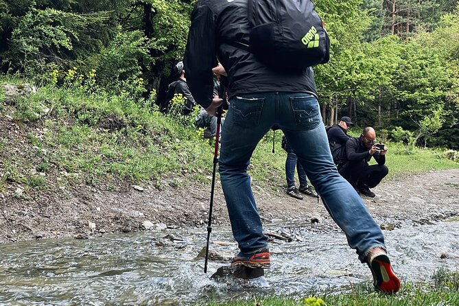 13 Km Hike in Borjomi - Group Tour From Tbilisi - Health and Fitness Requirements