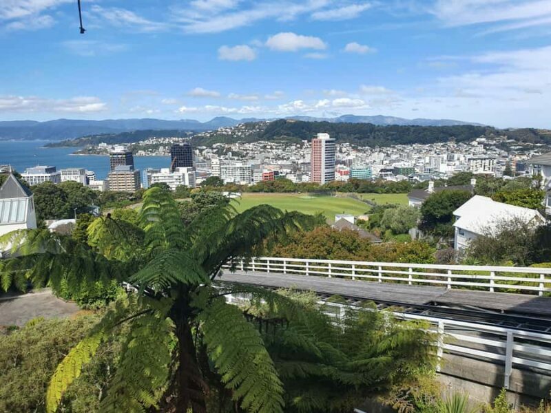 14 Day Northern Kiwi Small Group Tour - Key Points