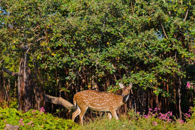 14-Day Private Tour in Sri Lanka - Arrival and Negombo Exploration