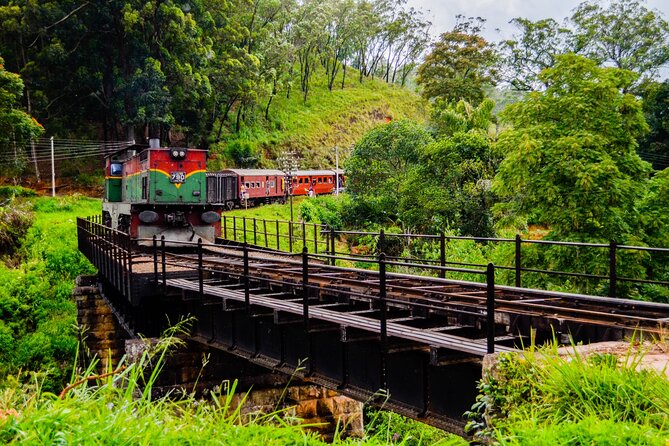 14-Day Private Tour in Sri Lanka - Sigiriya Rock Fortress