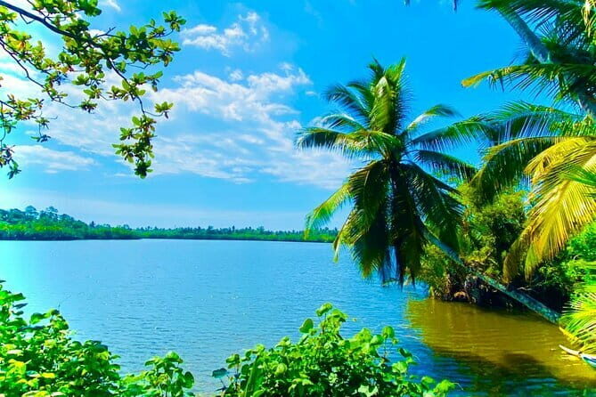 14 Days/ 13 Nights -Sri Lanka Tour on Culture, Wildlife & Beaches - Day 1-2: Coastal Beginnings in Negombo and Cultural Heritage in Dambulla
