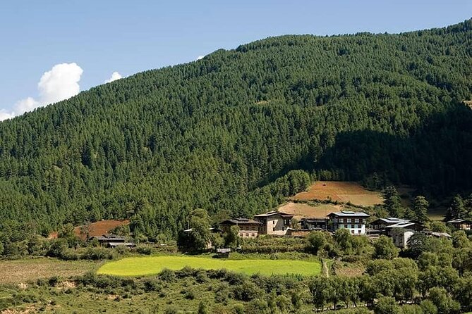 14 Days Bhutan Cultural Tour With 2-Day Trek in Bumthang Valley - Cultural Immersion