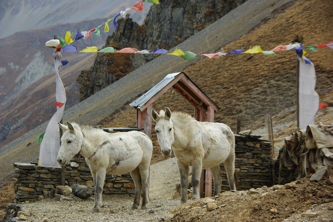 14 Days Manasalu Trek With Larkye Pass - Sum Up
