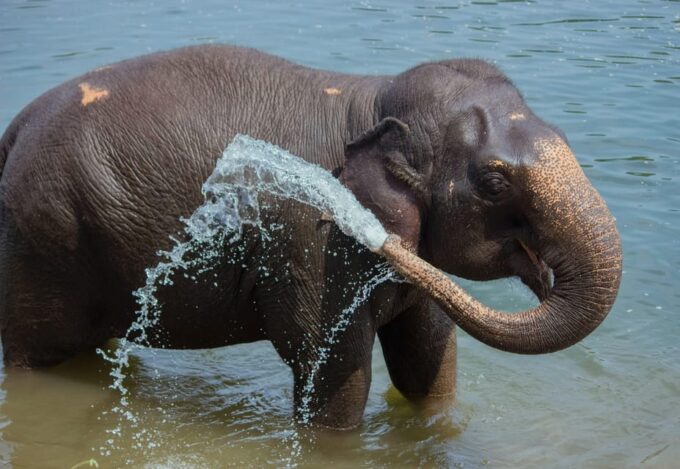 14 Days Private Car Tour of Tamil Nadu and Kerala !! - Cancellation and Refunds