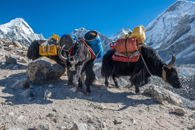 14 Days Private Tour Everest Base Camp Trek - Guide and Porter Services