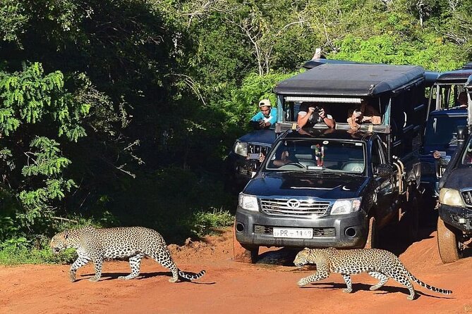 14-Days Private Tour in Sri Lanka With Pick up - Building Relationships With Clients