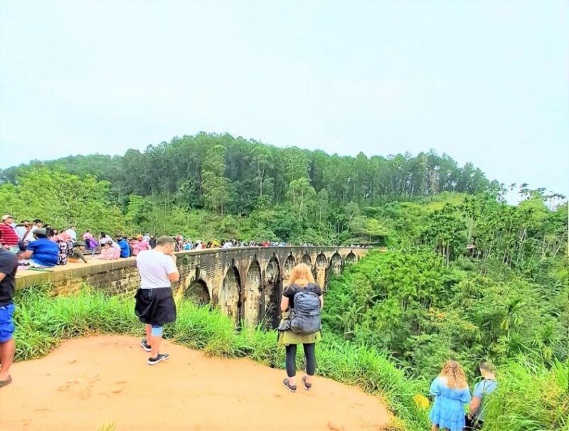 14 Days Tour Package Sri Lanka - Accommodation and Meals