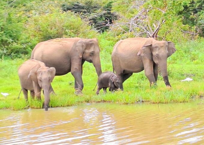 14 Days Tour Package Sri Lanka - Cancellation and Payment Policy
