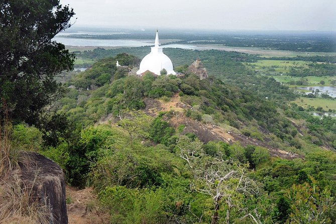 14-Nights/15-Days Sri Lanka Round Tour by Car - With Nilaveli Beach - Accommodation Details