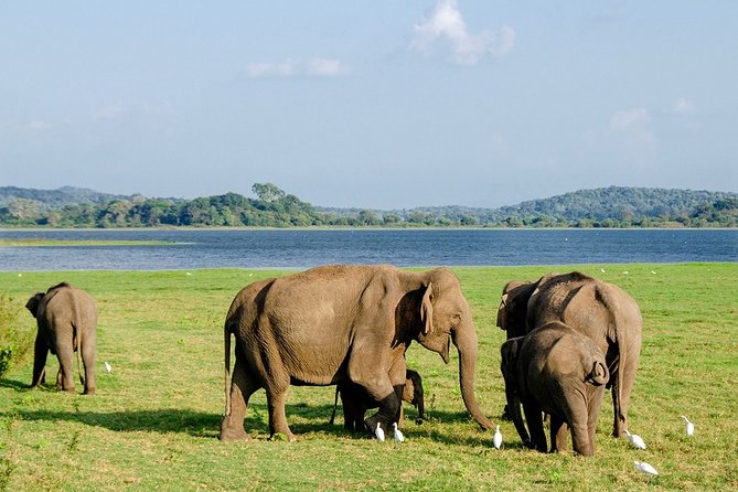14-Nights/15-Days Sri Lanka Round Tour by Car - With Nilaveli Beach - Inclusions