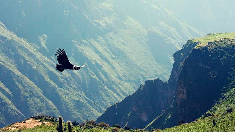 14D Lima Inca Trail Machu Picchu Puno Colca Canyon Ica Nazca - Key Points
