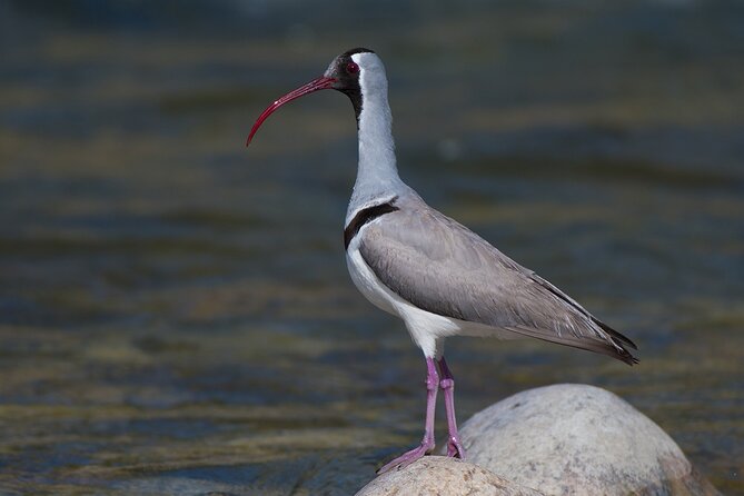 15-Day Bird Watching and Cultural Tour in Bhutan - Notable Destinations