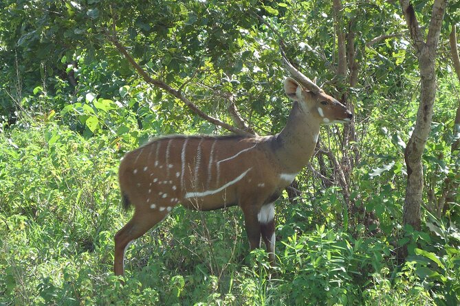 15-Day Ghana Wildlife Private Tour - Accessibility