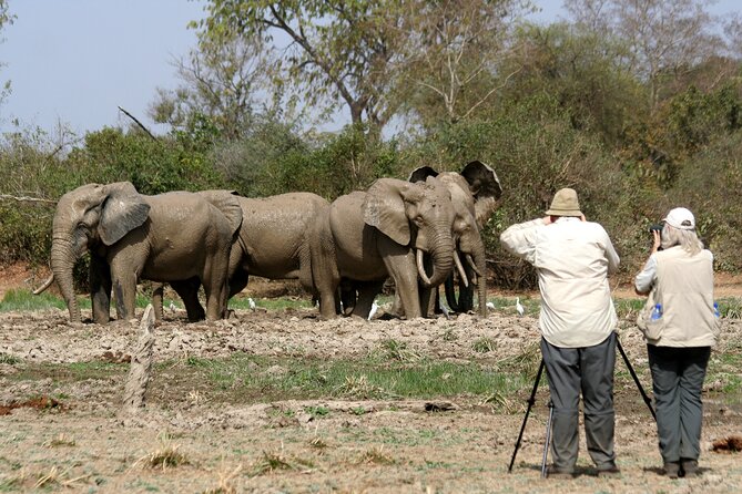 15-Day Ghana Wildlife Private Tour - Additional Information