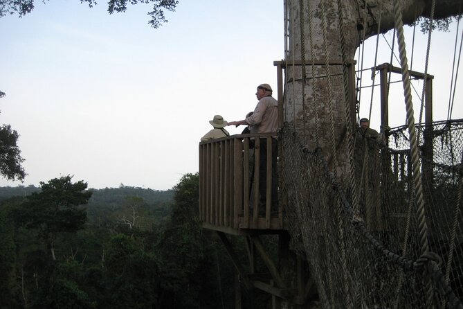 15-Day Ghana Wildlife Private Tour - Itinerary