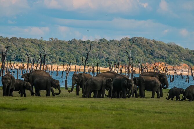 15-DAY Tour in Sri Lanka With Private Driver - Included Meals