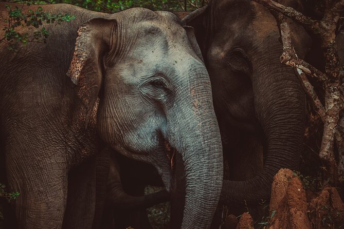 15-DAY Tour in Sri Lanka With Private Driver - Entrance Fees