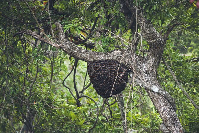 15-DAY Tour in Sri Lanka With Private Driver - Additional Information
