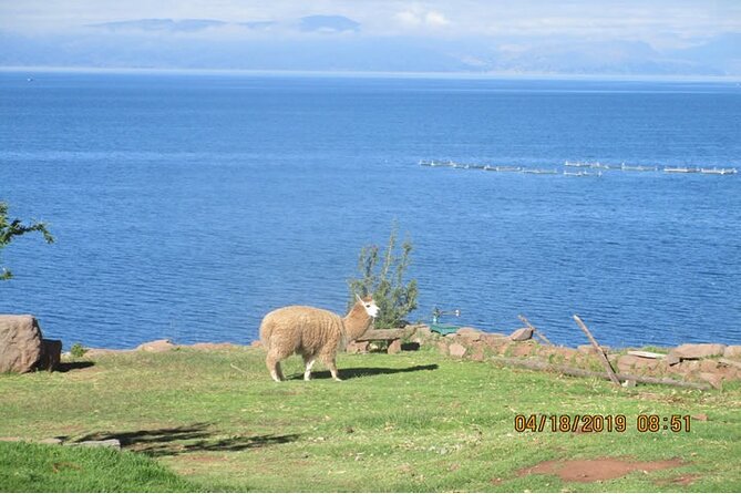 15-Day Tour of Peru Family Travel - Highlights of the Tour