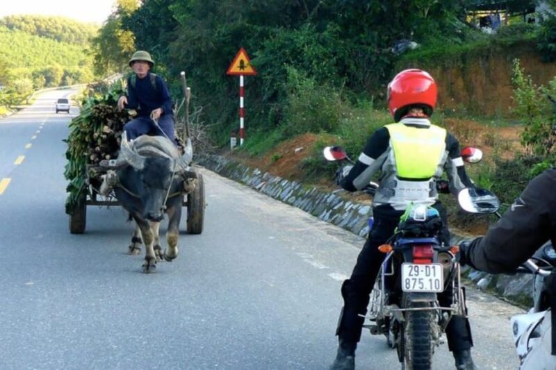 15 Days Adventuring Vietnam North to South by Motorcycle - Inclusion Details