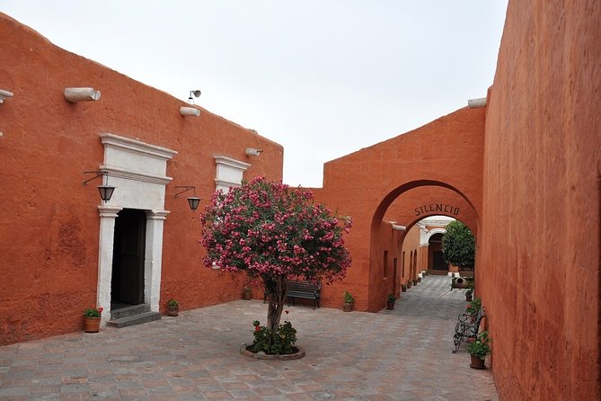 15 Days Enigmas of the South From Lima - Transportation and Transfers