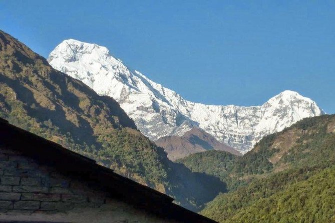 15 - Days Khopra Danda Trek - Permit and Documentation