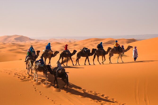 15 Days Morocco Private Grand Tour From North To South Starting From Casablanca - Inclusions and Not Included Expenses
