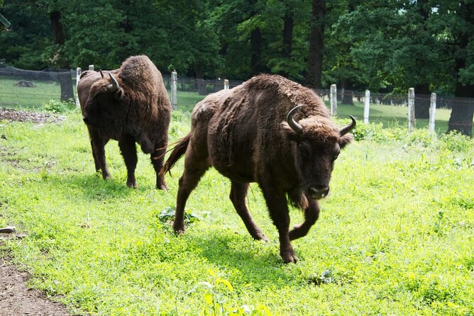 15 Days Private Tour in Romania, Moldova and Transnistria - Authentic Dining and Winemaking