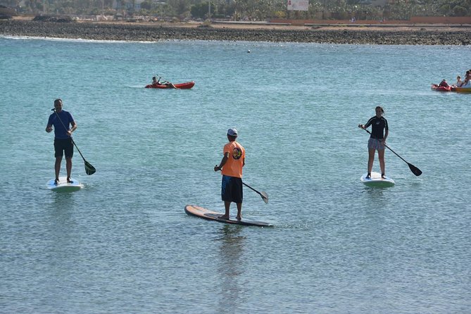 1,5-Hour Beginners Stand up Paddle Course in Caleta De Fuste - Meeting and Pickup