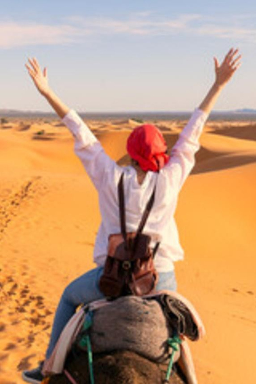 15 HR SAFARI IN THE GOLDEN DESERT - Experience Highlights
