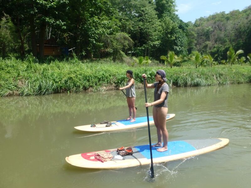 15 Km Stand up Paddle Boarding Down the Ping River Jungle - Booking and Flexibility