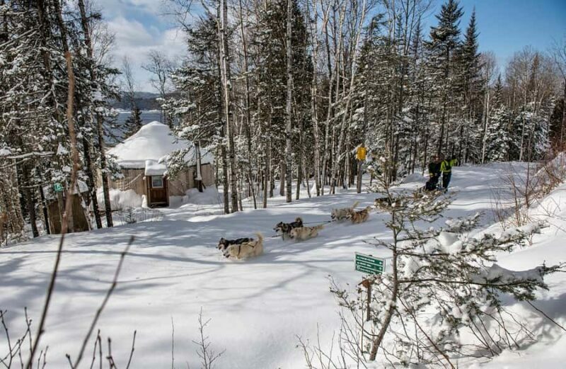 15 min. Tadoussac : Dog Sled Excursion in Saguenay Fjord - Key Points