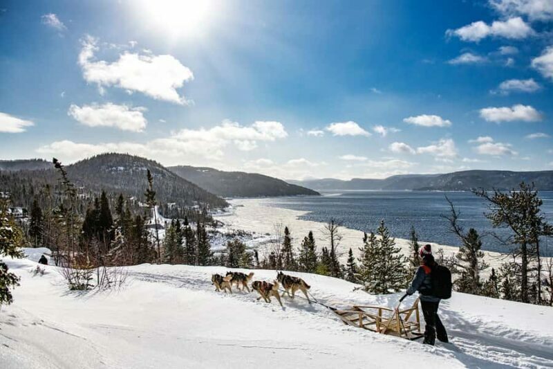 15 min. Tadoussac : Dog Sled Excursion in Saguenay Fjord - Who Should Consider This Tour?