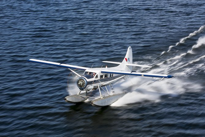 15-Minute Crater Lakes Flight by Floatplane From Rotorua - Aerial View of Crater Lakes