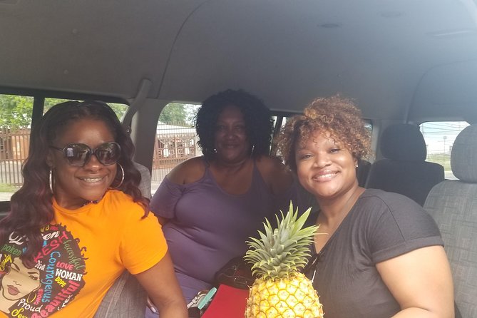 15. Ocho Rios Highlite Private Sightseeing, Shopping Half Day Guided Tours - Exploring Ocho Rios